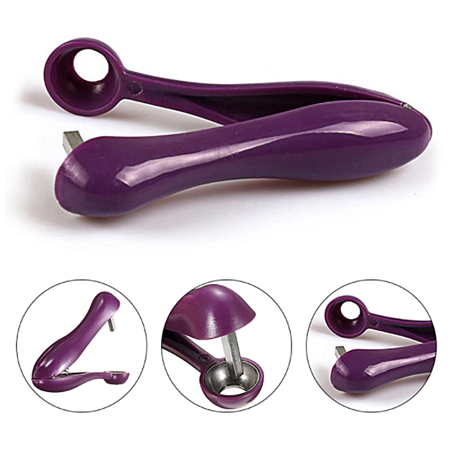 휴대용 체리 과일 씨 제거기 올리브 코어러 씨 제거 도 - Cherry Pitter Tool 리뷰 및 가격