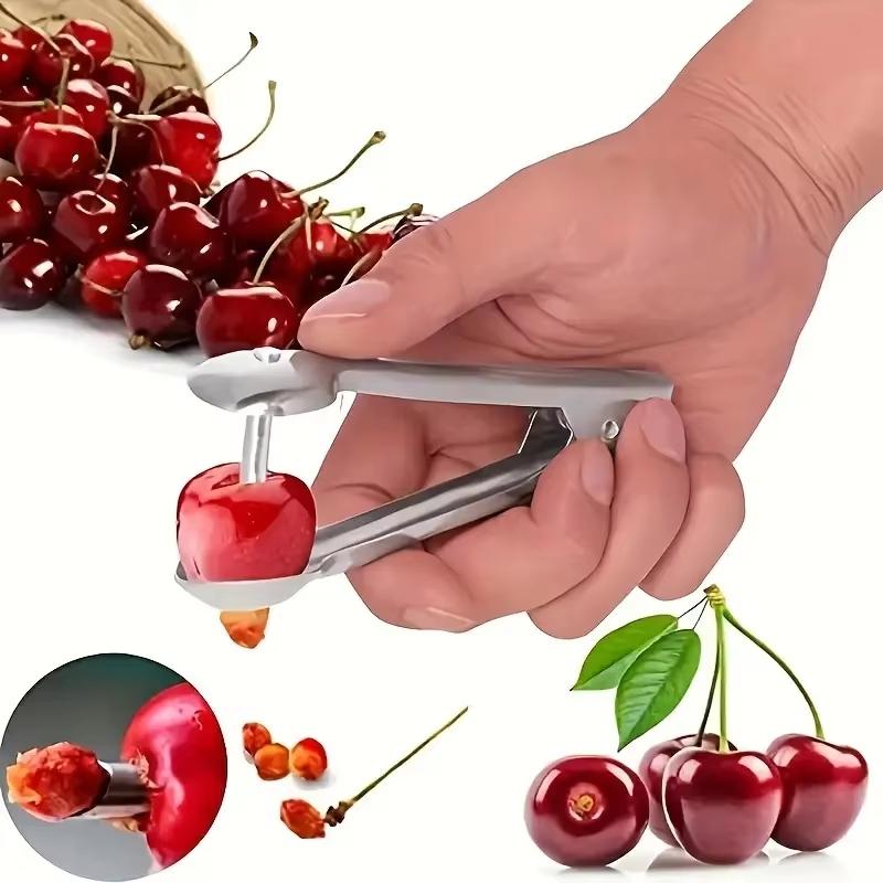 스테인리스 스틸 체리 피터, 가정 및 야외용 빠른 씨  - Cherry Pitter Tool 리뷰 및 가격