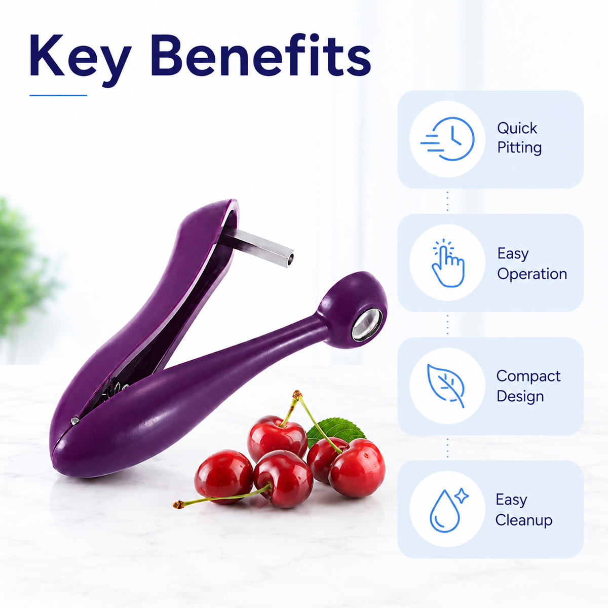 체리 씨 제거기 휴대용 체리 피터 도구 및 올리브 피터 - Cherry Pitter Tool 리뷰 및 가격