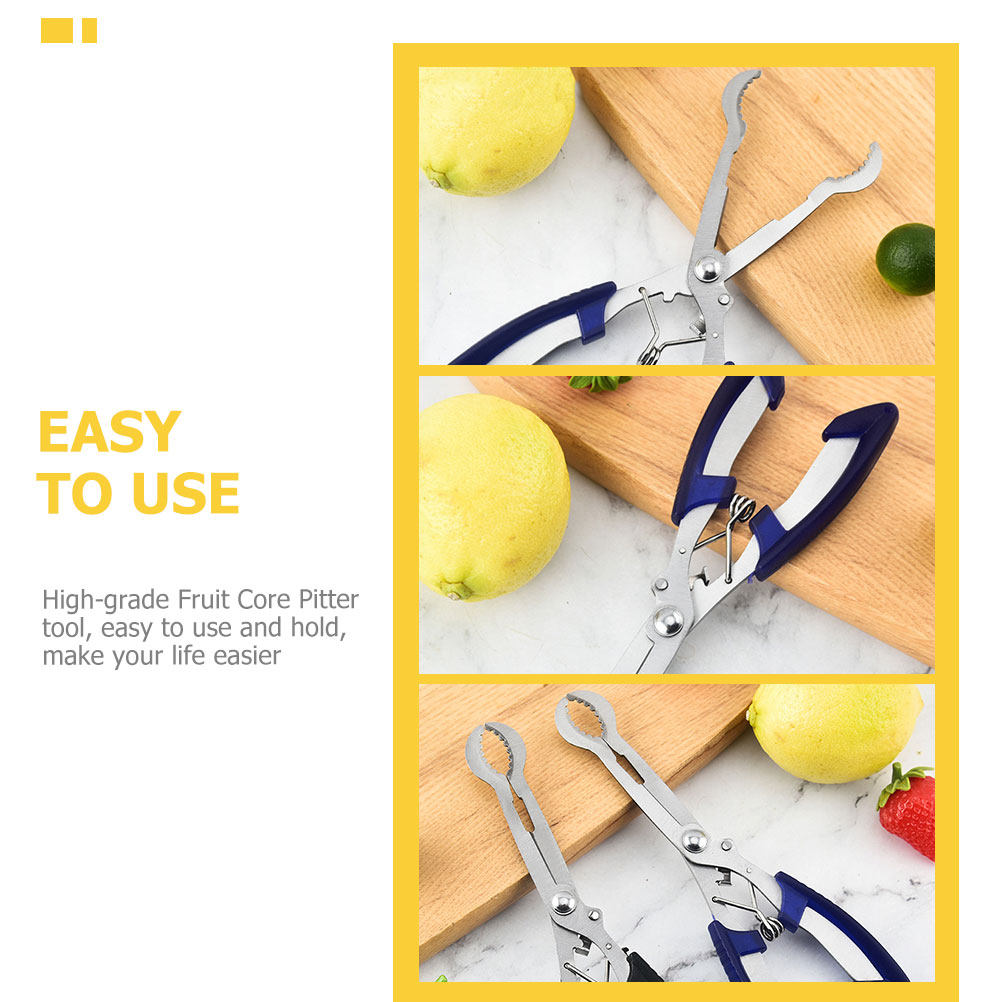 스테인리스 스틸 산사나무 씨 제거 도구, 대추 및 배용 - Cherry Pitter Tool 리뷰 및 가격