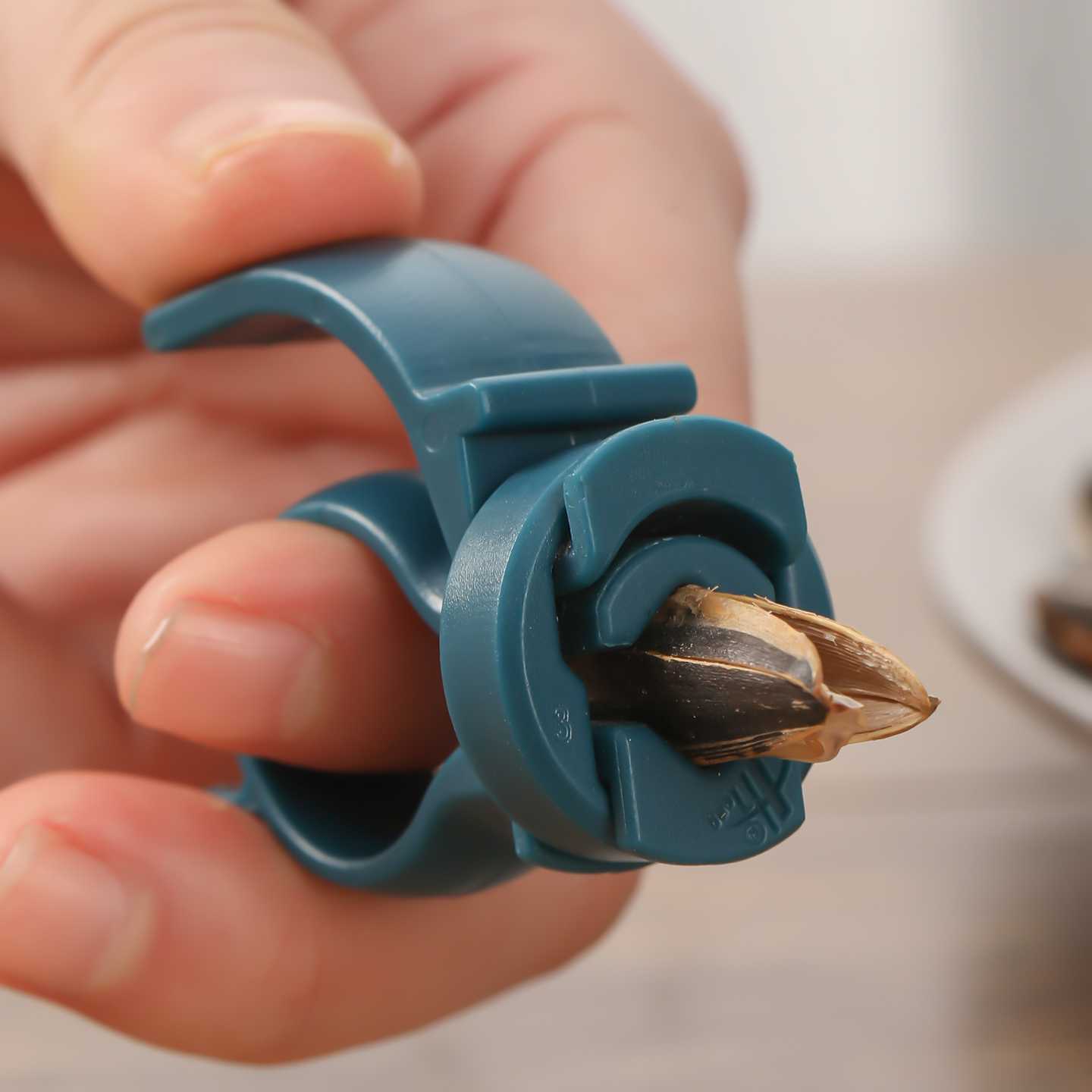 4개입 무작위 색상 창의적이고 간단한 작은 견과류 씨앗 - Kitchen Gadgets To Have 리뷰 및 가격